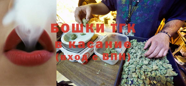 тгк Богородицк