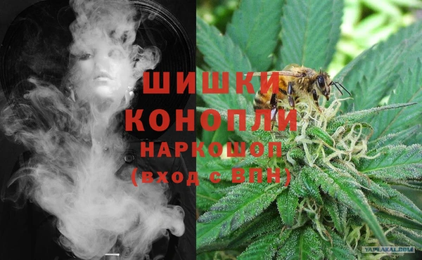тгк Богородицк