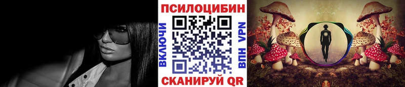 Псилоцибиновые грибы мицелий  Верхняя Тура 